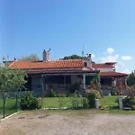 Ivonnis Garden