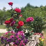 Ivonnis Garden *