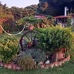 Ivonnis Garden