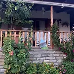 Ivonnis Garden