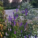 Ivonnis Garden Mesimvria (Evros)