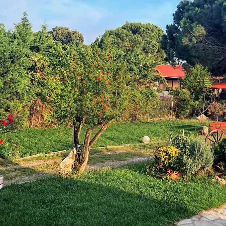 Ivonnis Garden Holiday home