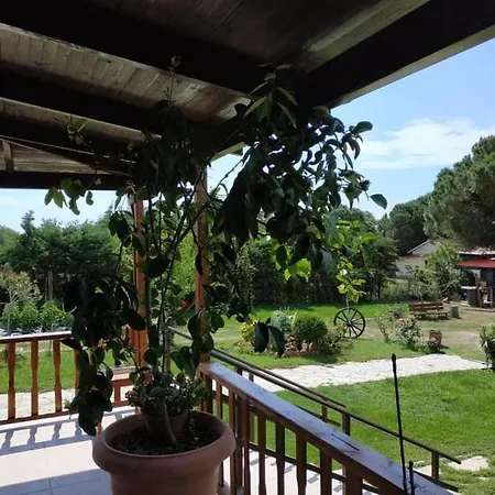 Ivonnis Garden 120m From Dikella Denize & Bbq Semesterbostad *