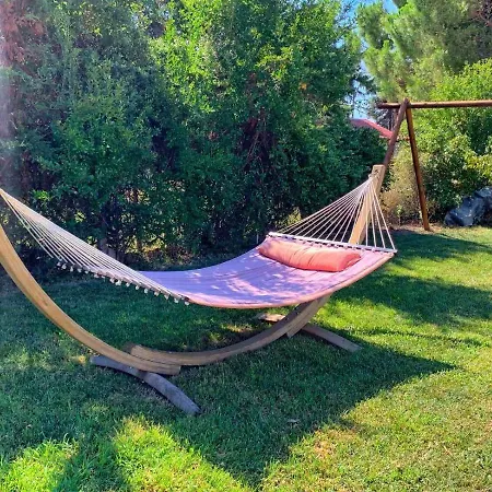 Ivonnis Garden *