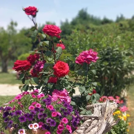 Ivonnis Garden 120m From Dikella Denize & Bbq *