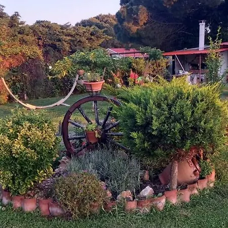 Ivonnis Garden 120m From Dikella Denize & Bbq