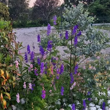 Ivonnis Garden 120m From Dikella Denize & Bbq Mesimvria (Evros)